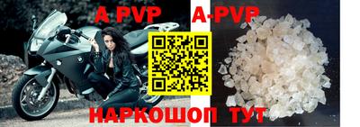 гашик Аргун
