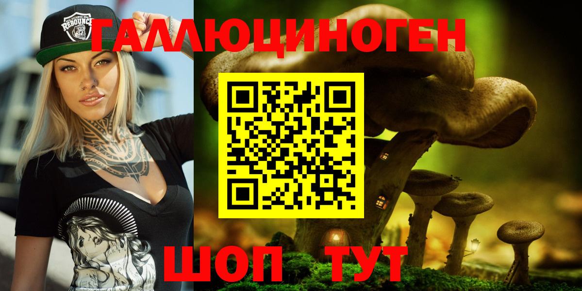 МЕФ Богородицк