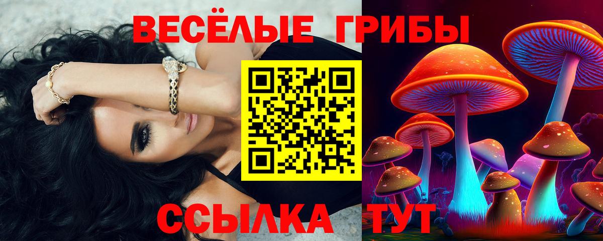 Псилоцибиновые грибы мицелий  Вход с VPN  Богородицк 